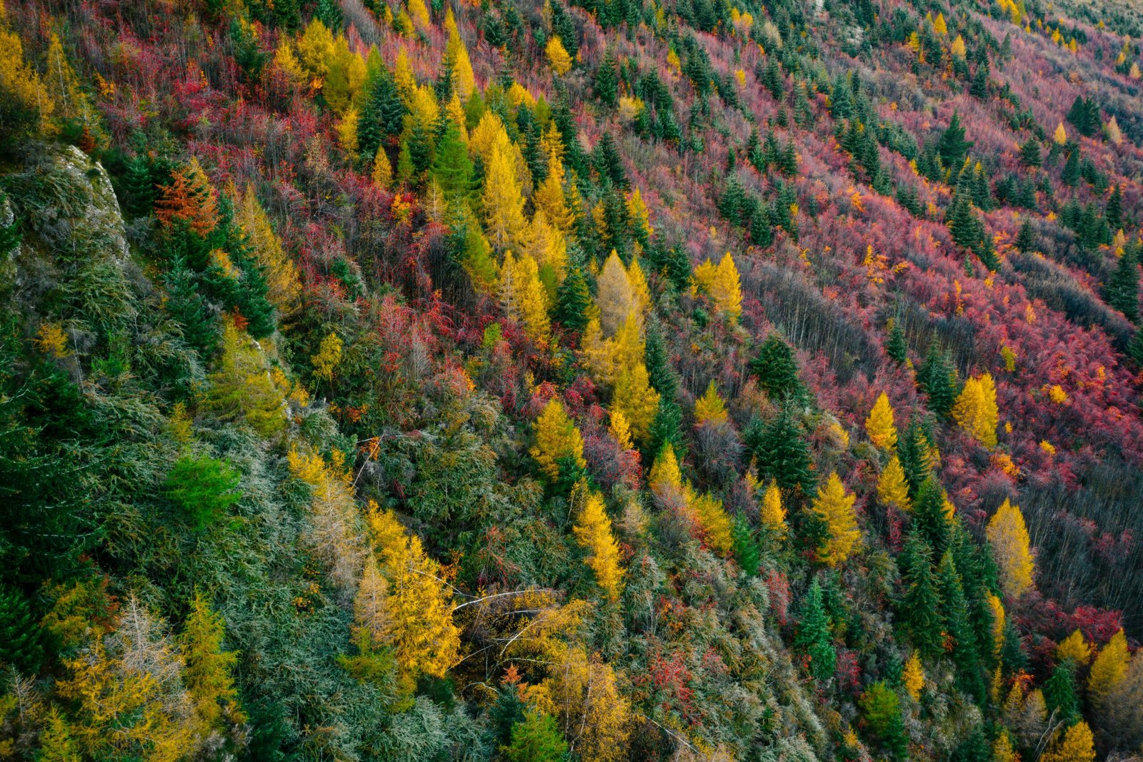 Colorful nature landscape representing the diverse regions of Pokemon Pokopia